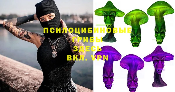а пвп мука Надым