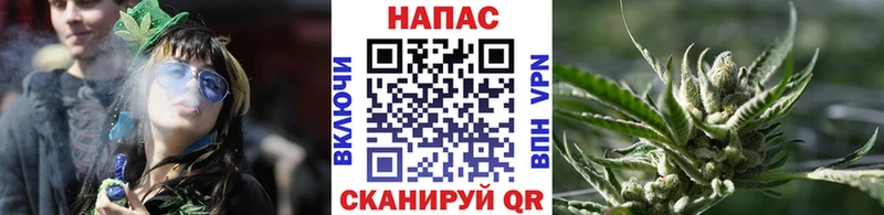 Конопля Bruce Banner  hydra как зайти  Козьмодемьянск 
